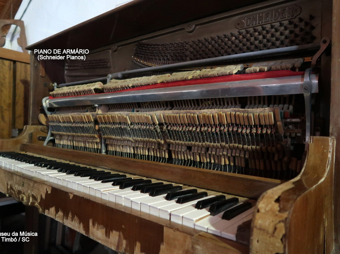 Music Museum-Timbo必去景点