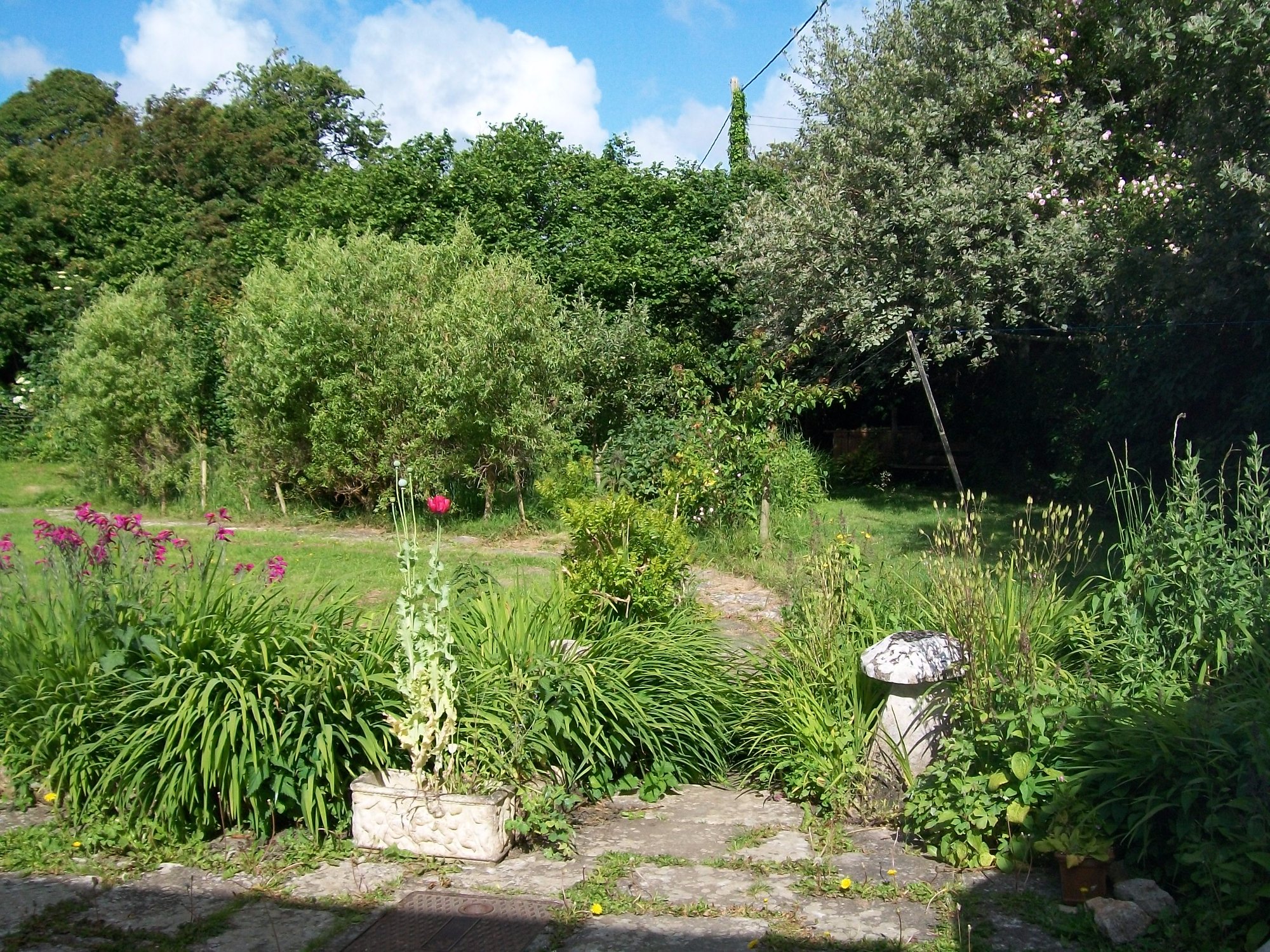 Brookside Cottage-官方
