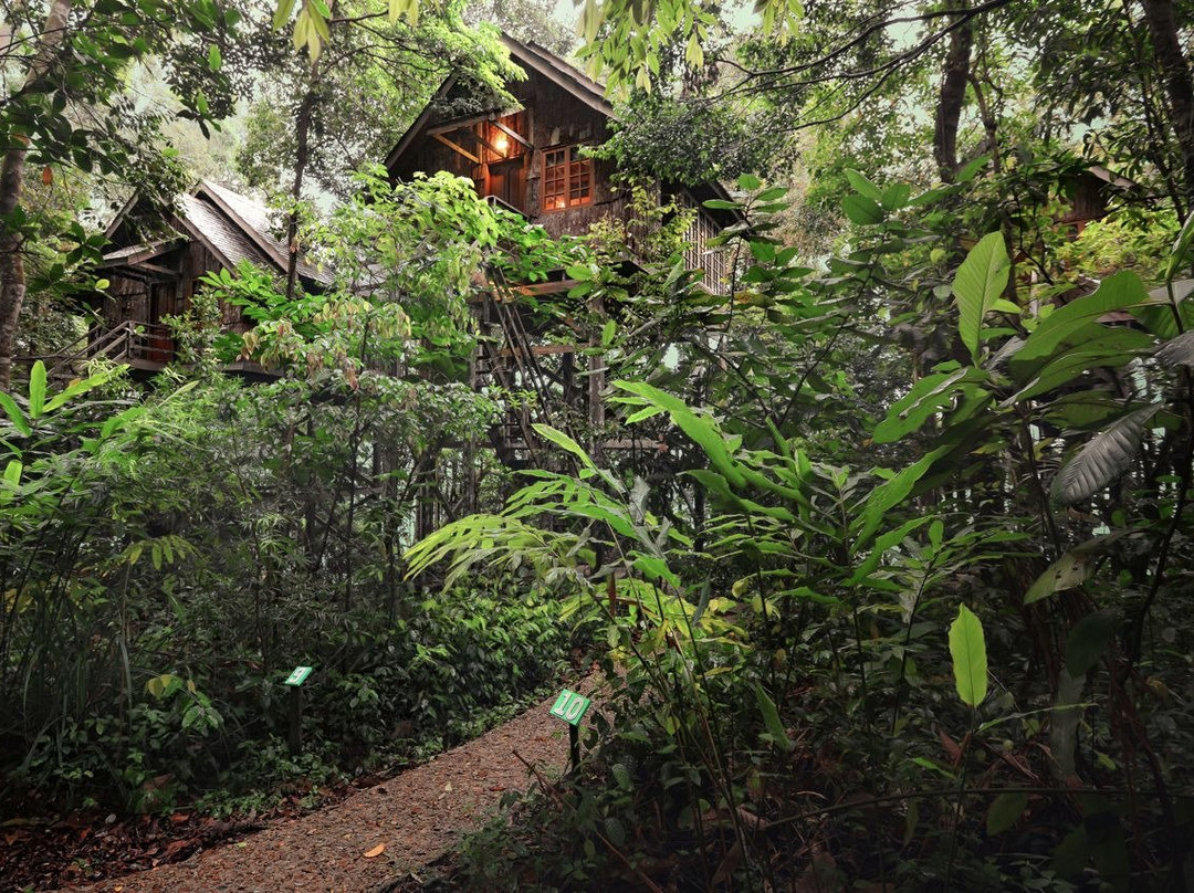佩买雨林度假村