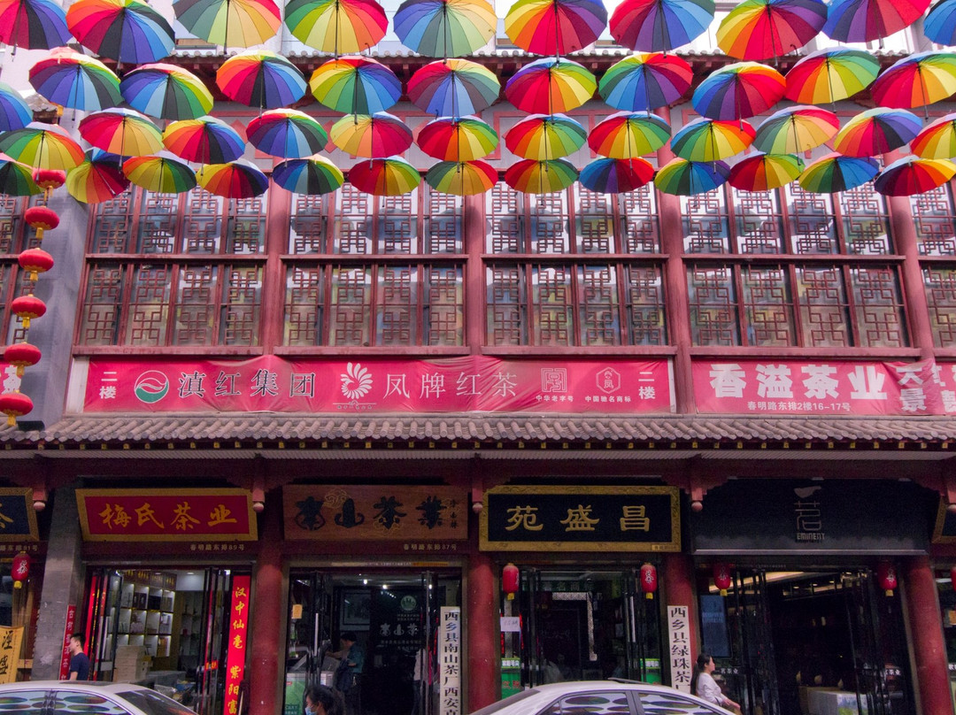 金康路茶文化街-西安市必去景点