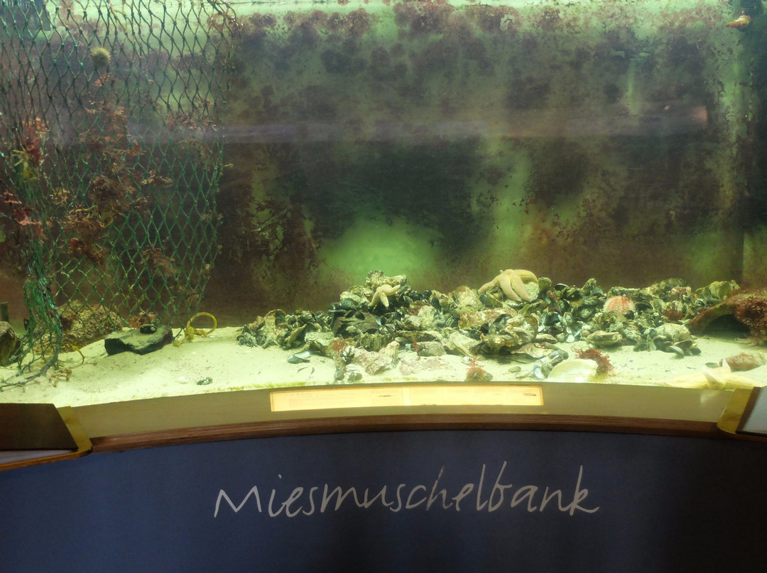 Nationalpark-Haus Wittbulten-斯匹科罗格必去景点