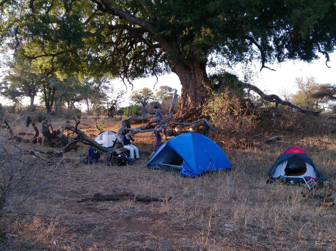 Bundu Enterprises-玛洛斯帕克必去景点