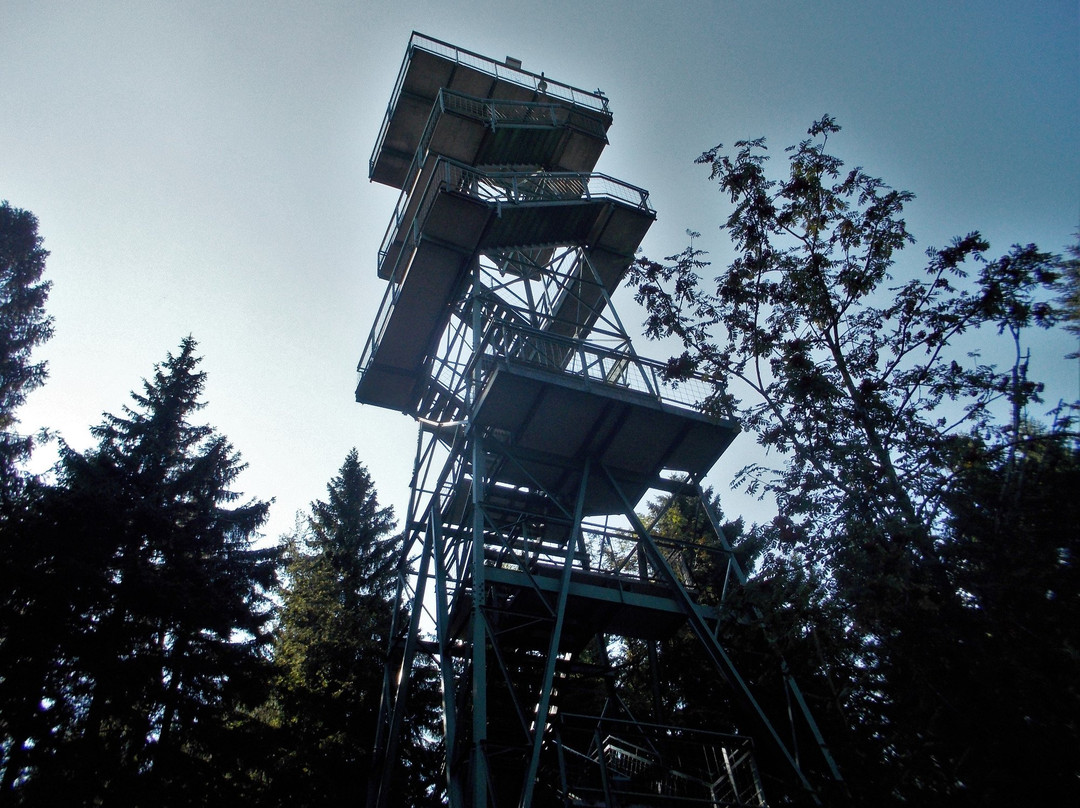 Aussichtsturm Moldaublick-Ulrichsberg必去景点