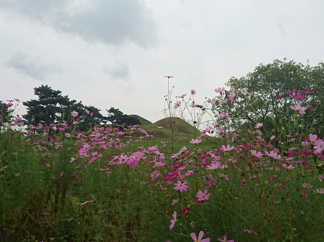 Bullodong Ancient Tomb Park-大邱必去景点
