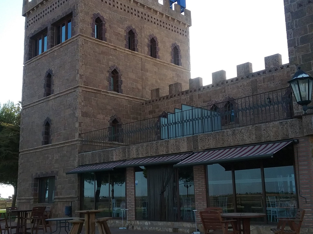 Vinedos y Bodegas El Castillo