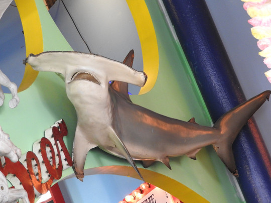 Sideshows by the Seashore-布鲁克林必去景点