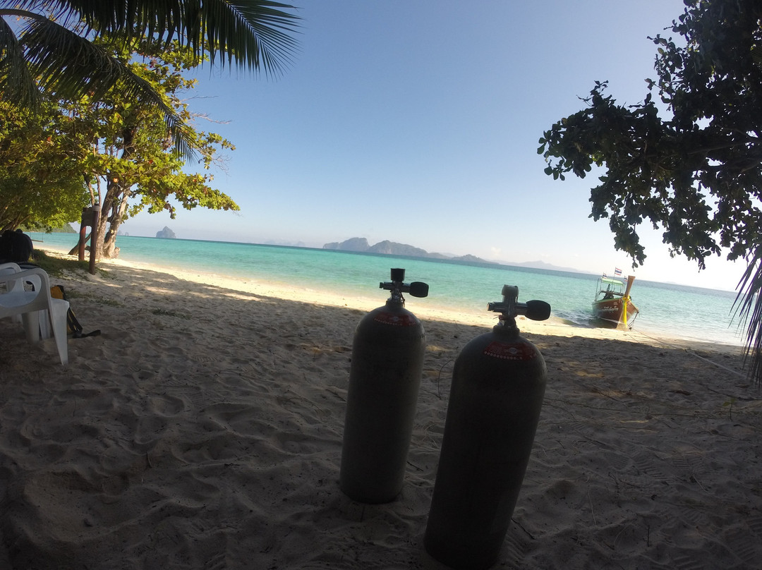 Pro Scuba Diving Service-克雷登岛必去景点
