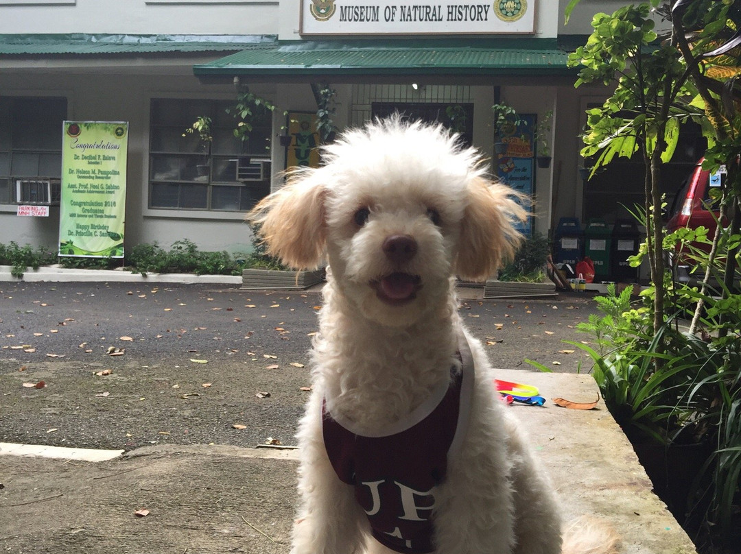 UPLB Museum of Natural History-Los Banos必去景点