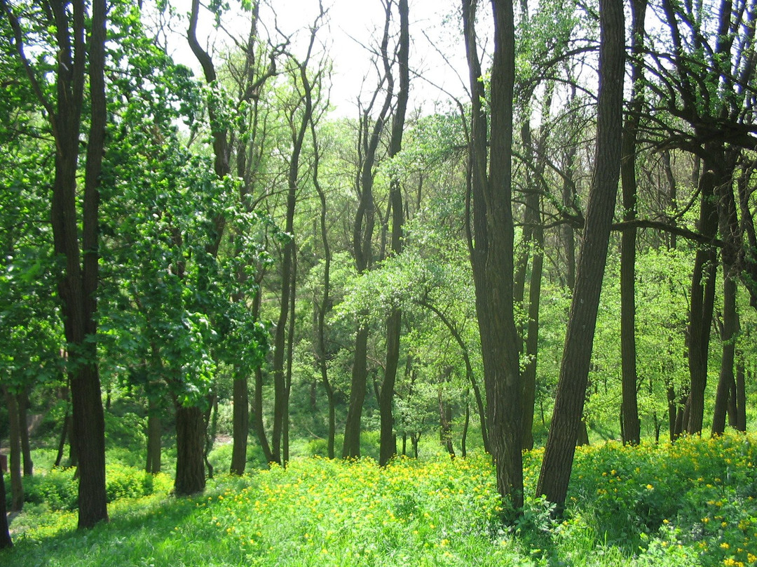 Pereiaslav-Khmelnytskyi旅游攻略图片