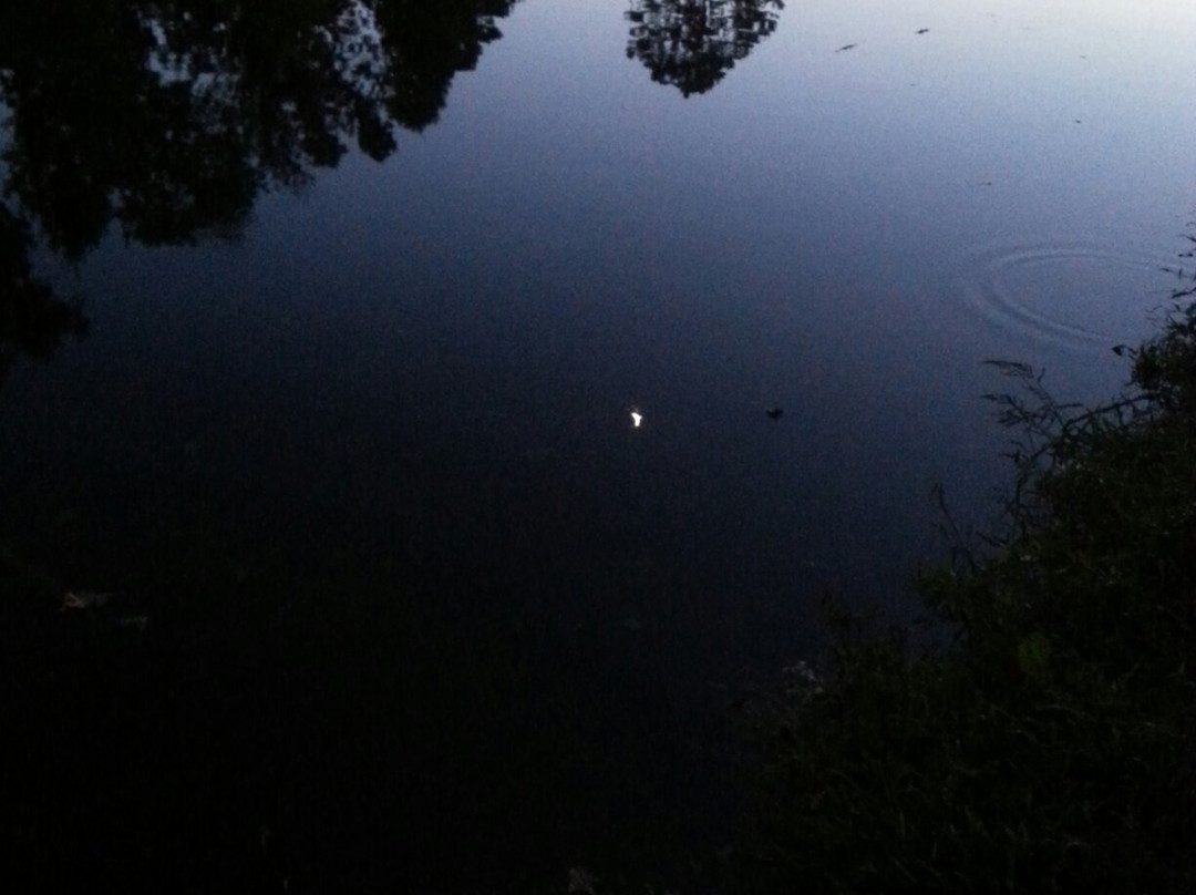 Victor Ashe Park-诺克斯维尔必去景点