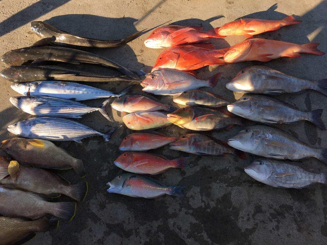 Fishing Offshore 1770 Charters-1770镇必去景点