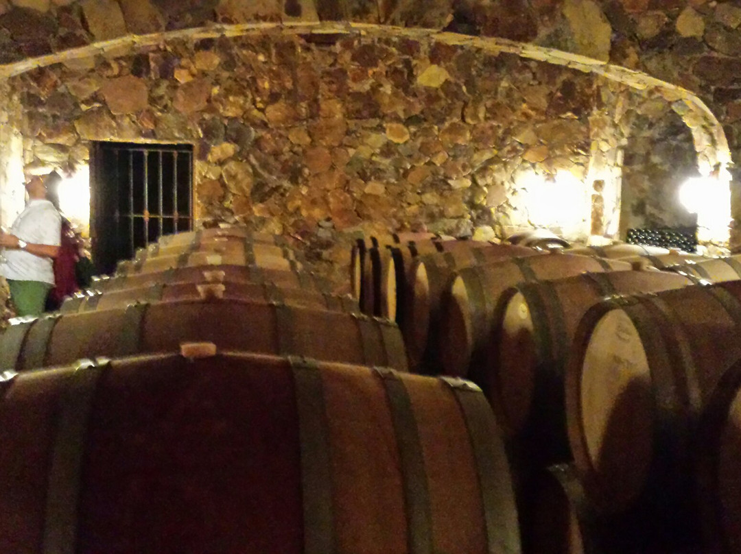 Vinicola Mogor Badan景点图片