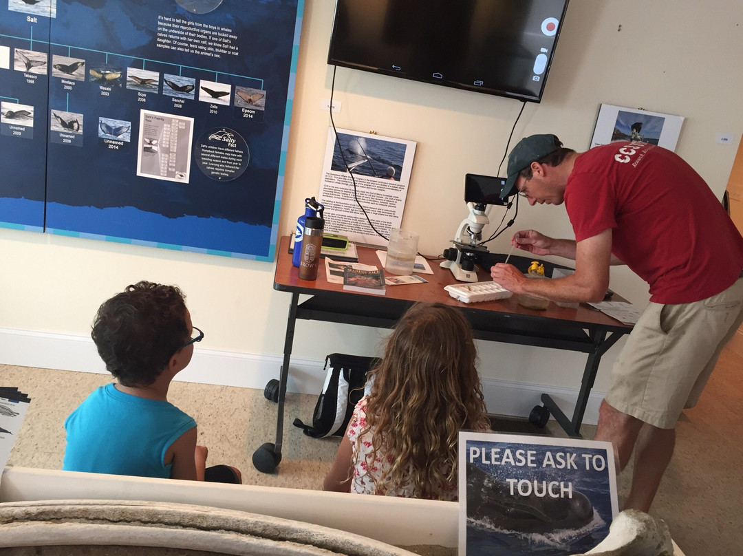 Sea Space Marine Discovery Center-普罗温斯敦必去景点