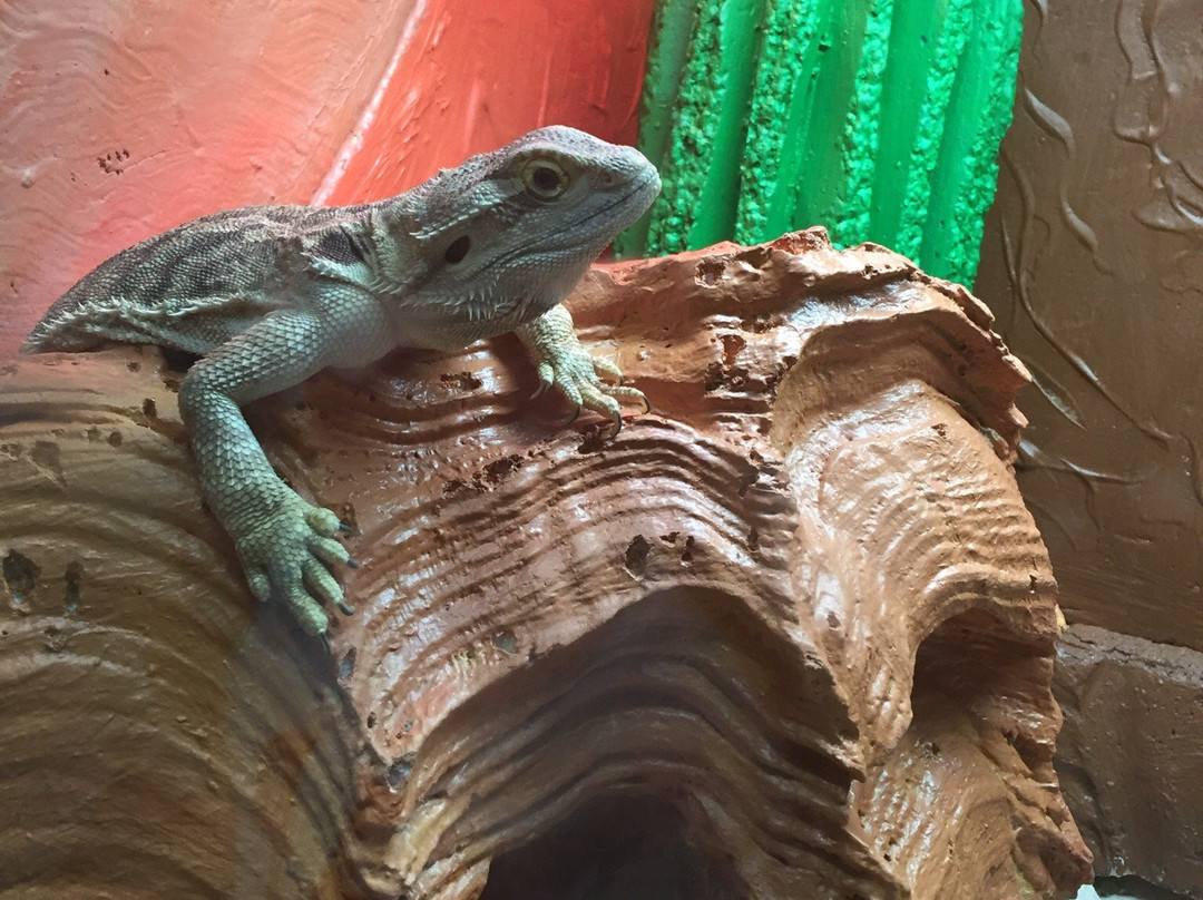 Science Park-圣胡安必去景点