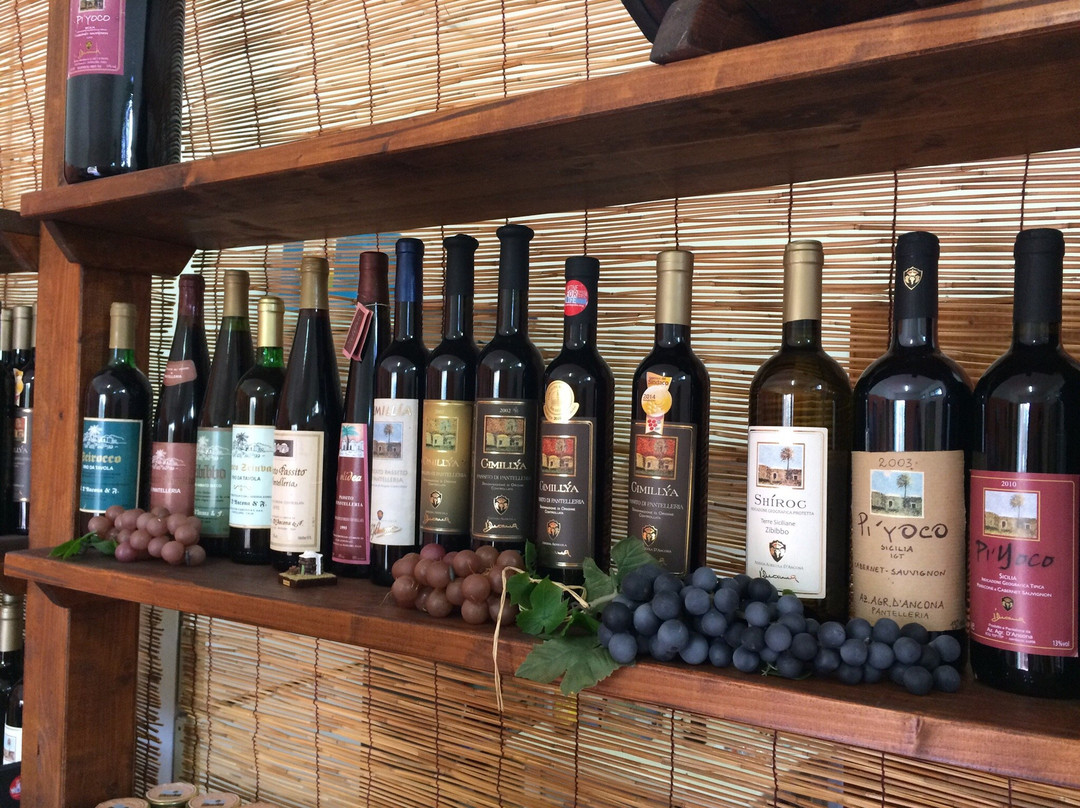 Azienda Agricola d'Ancona景点图片