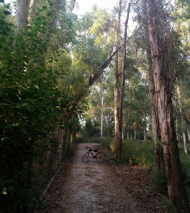 Bir Talab Zoo-Bathinda必去景点