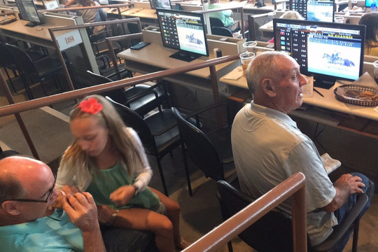 Lone Star Park-大草原城必去景点