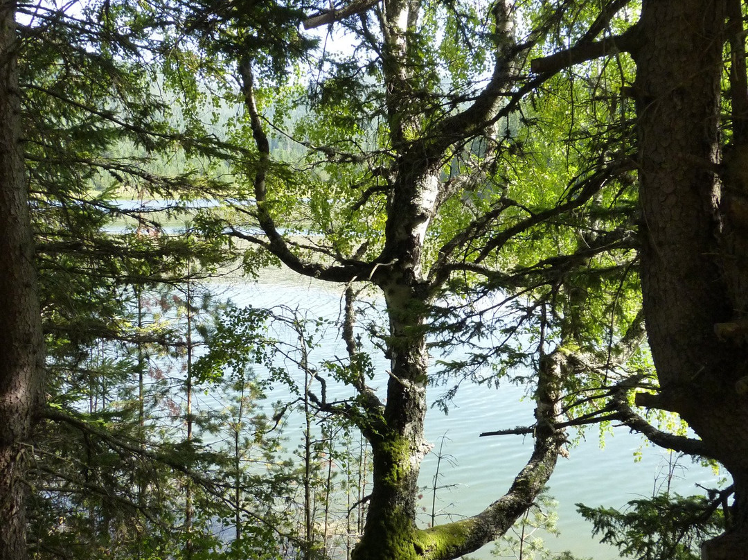 Zminicko Lake-Zabljak必去景点