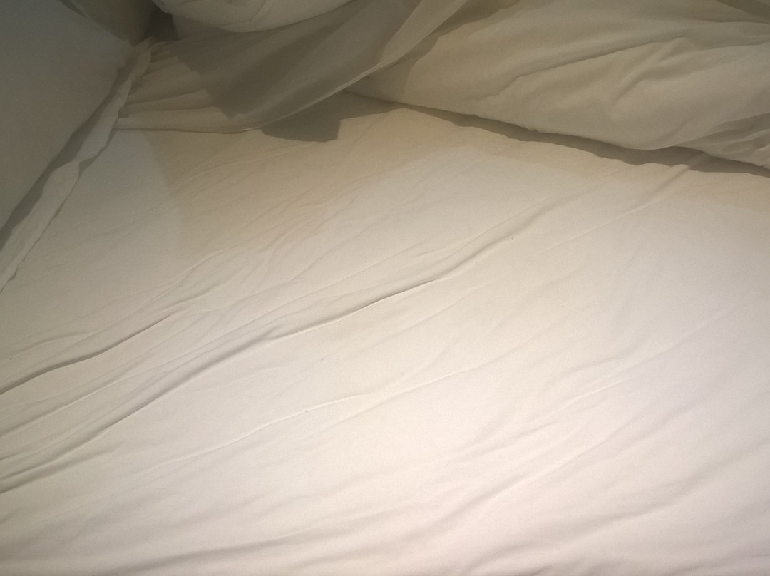 Ocean View Castle Guesthouse主图