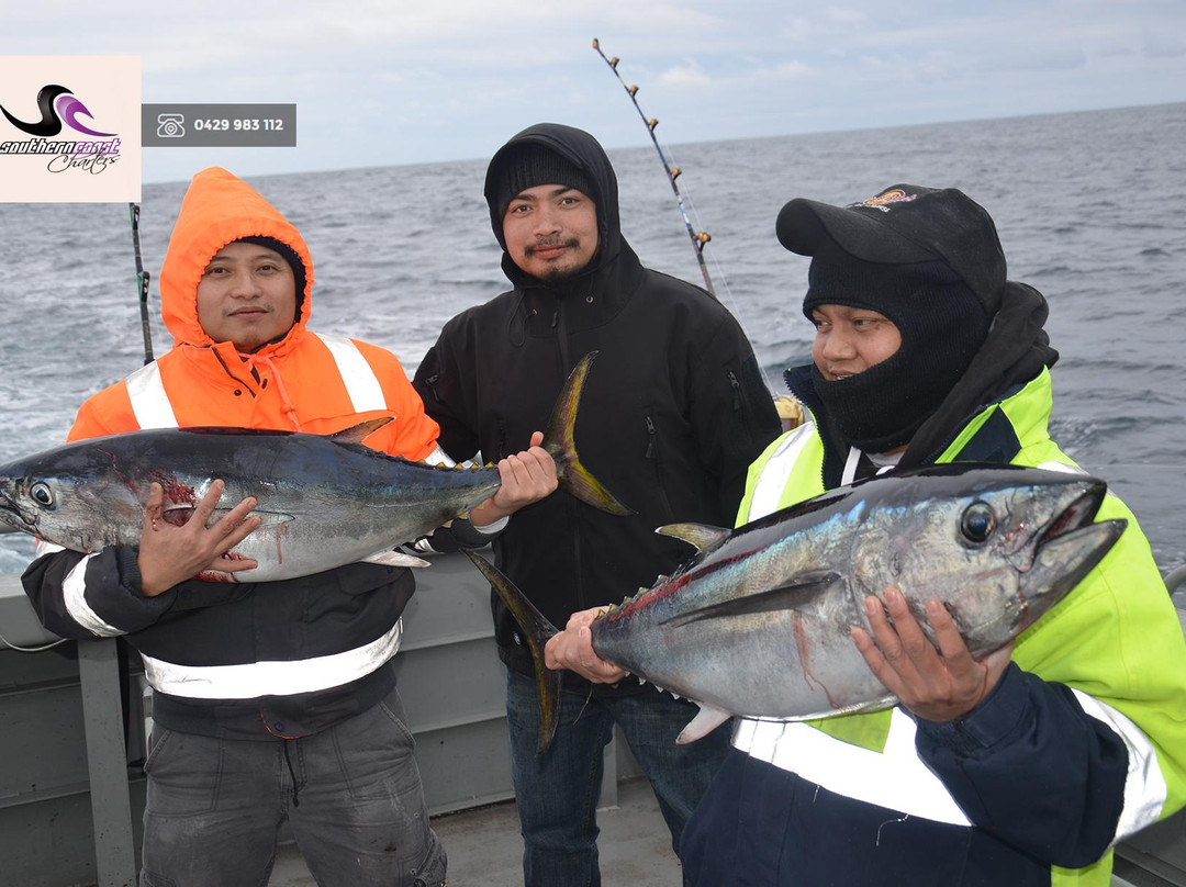 Southern Coast Charters-仙女港必去景点