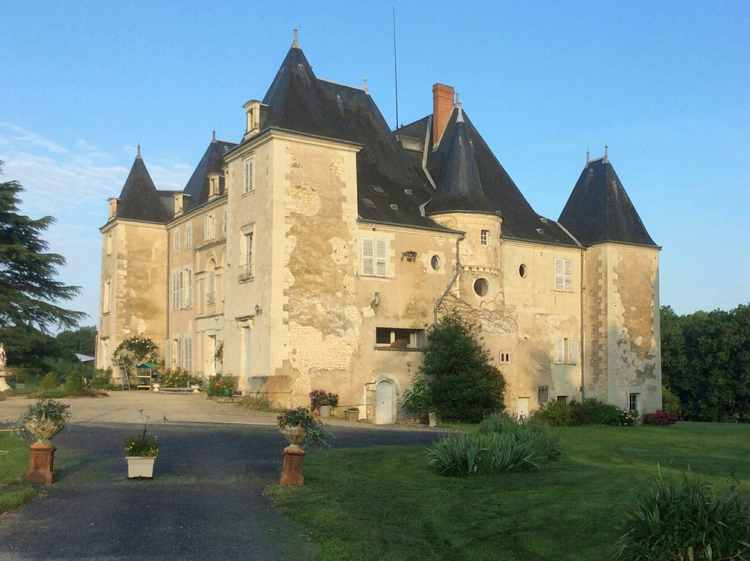 Chateau de Piolant主图