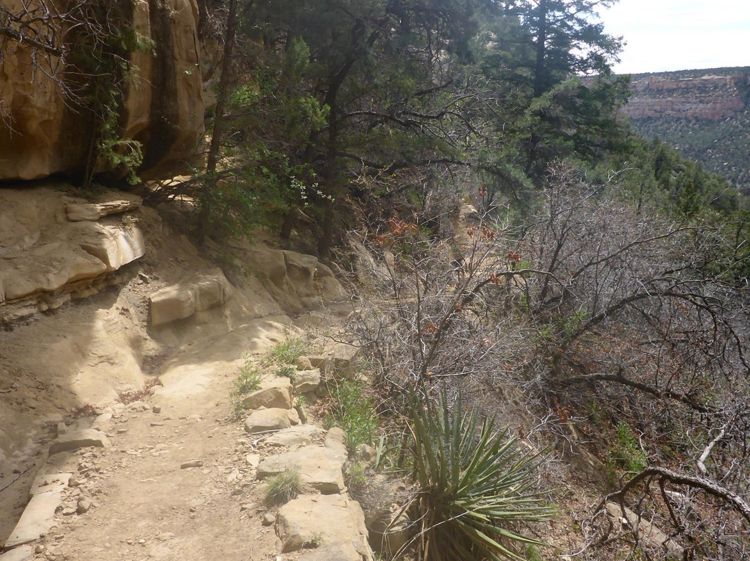 Spruce Canyon Trail-梅萨维德国家公园必去景点