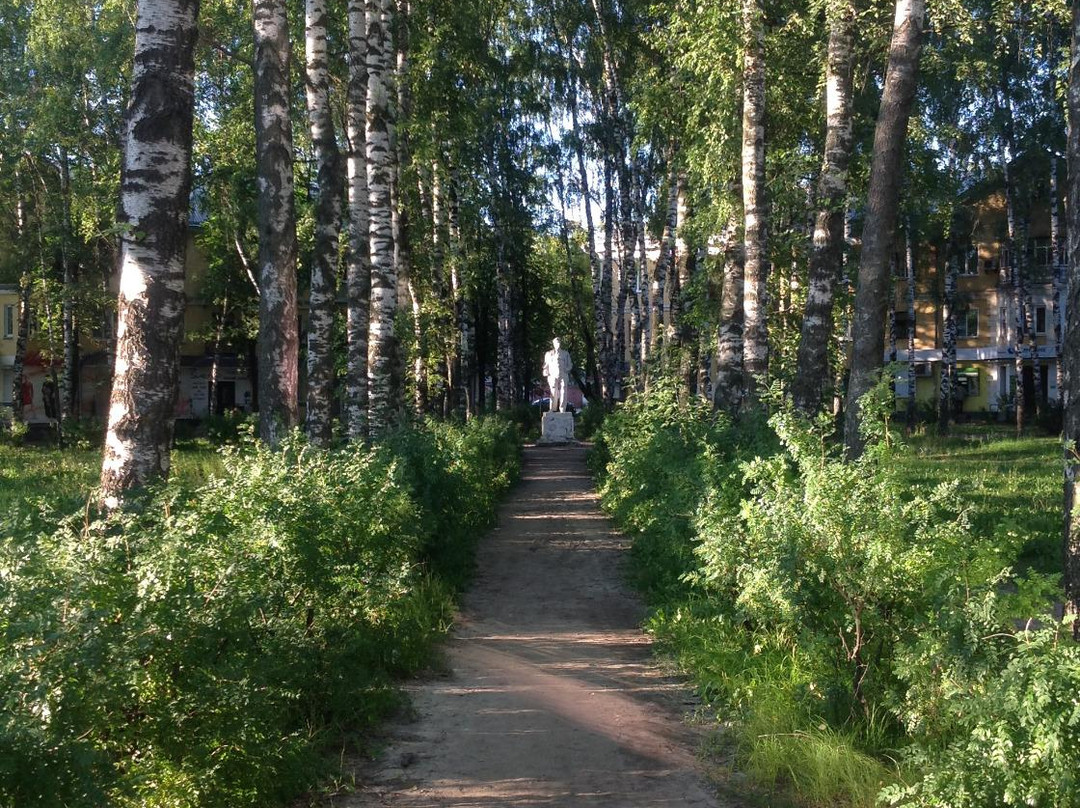 Park on Chernyshevskogo Street景点图片