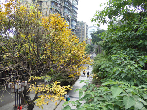 古城墙-重庆市必去景点