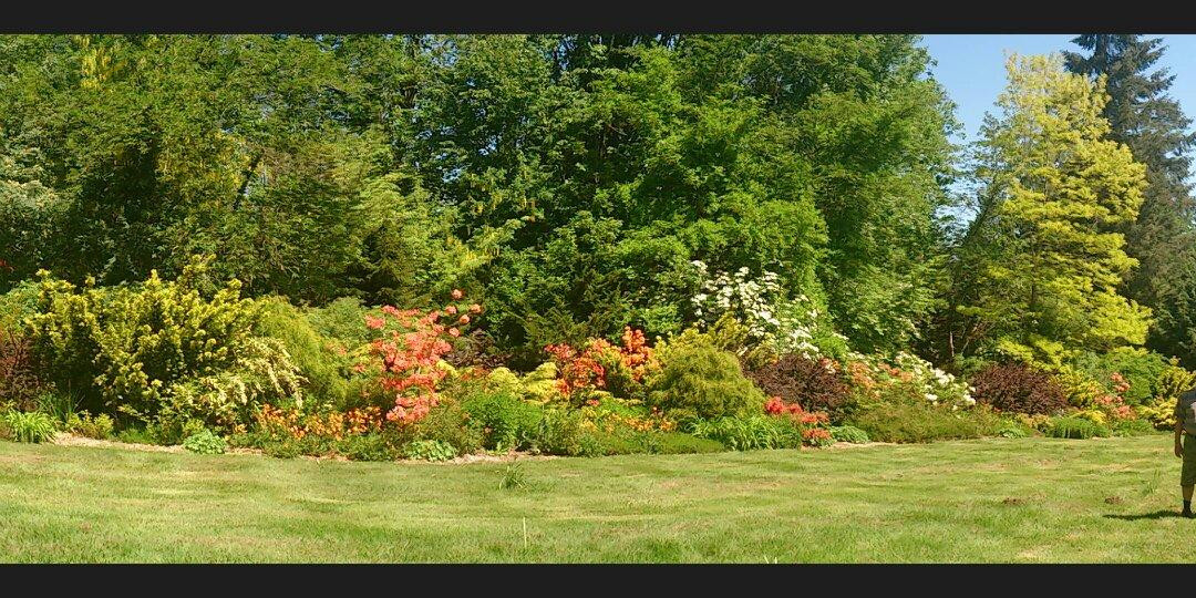 Soos Creek Botanical Garden景点图片