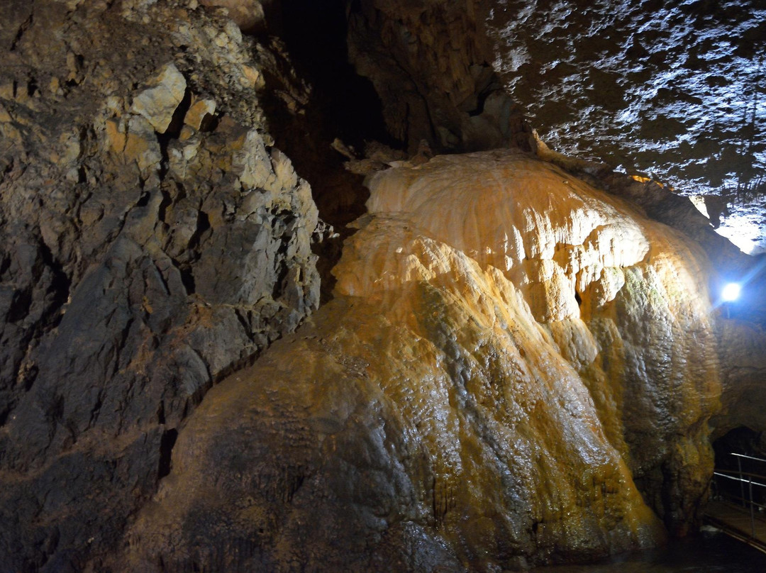 Vadu Crisului Cave景点图片
