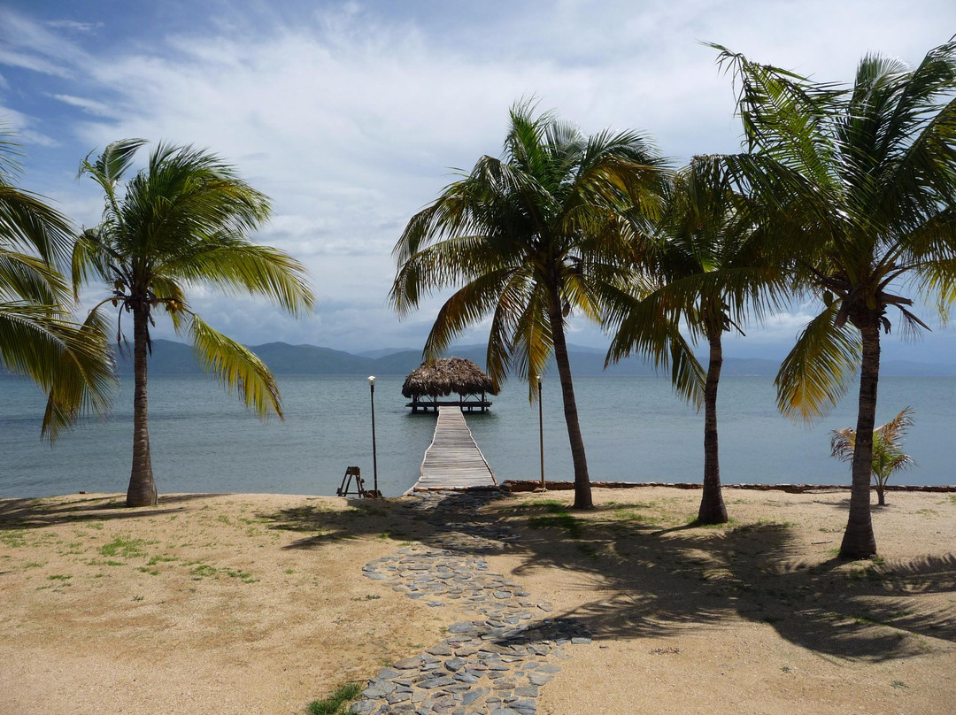 Medregal Village主图