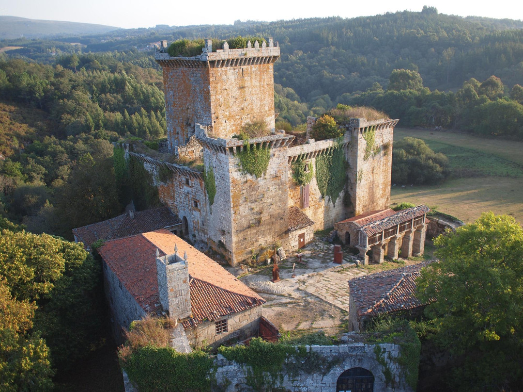 Castillo de Pambre景点图片