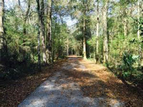 Black Creek Trail-橙园必去景点