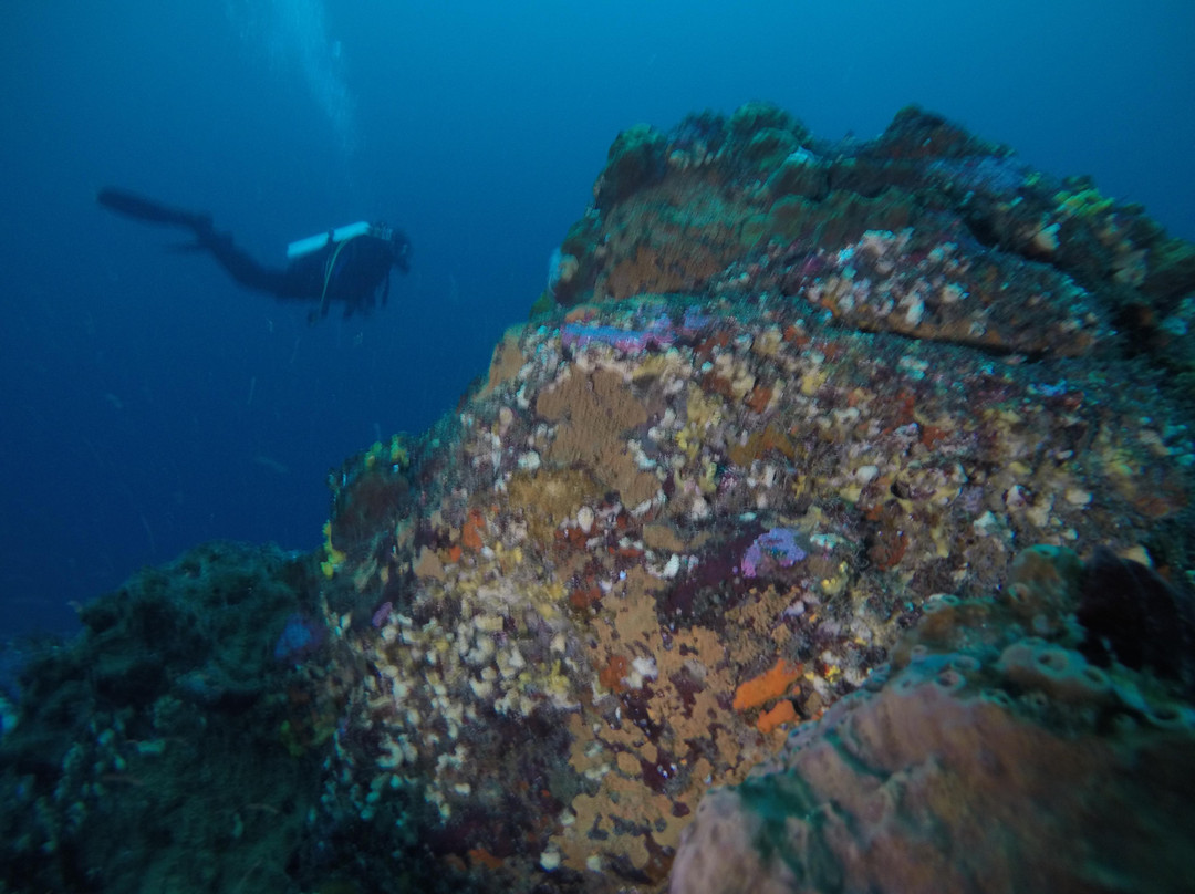 ODC Buceo-Pichidangui必去景点