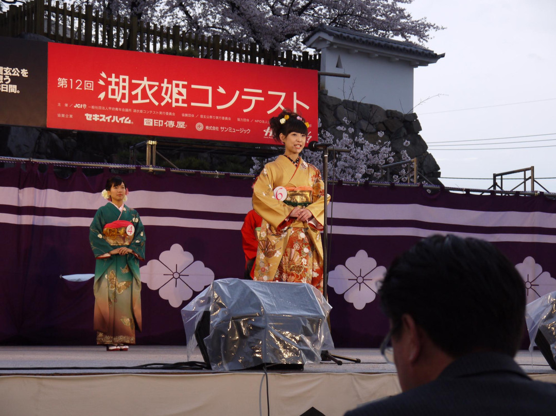 Shingenko Festival景点图片