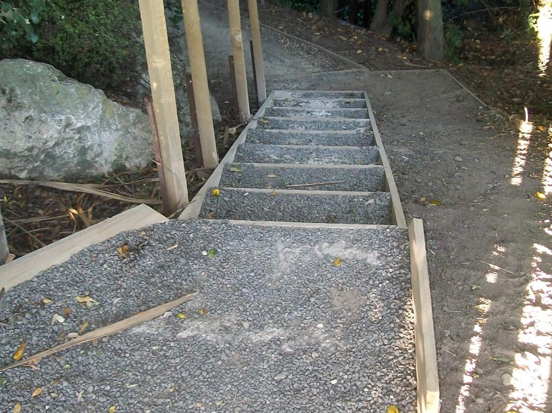 Karituwhenua Stream Walkway景点图片