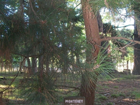 Karituwhenua Stream Walkway-Havelock North必去景点