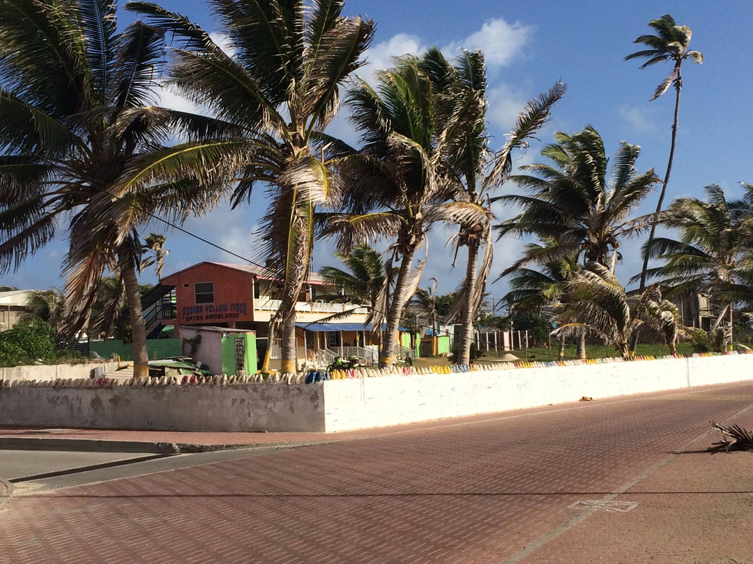 El Cove酒店住宿-Yellow Moon Guesthouse & Apartments