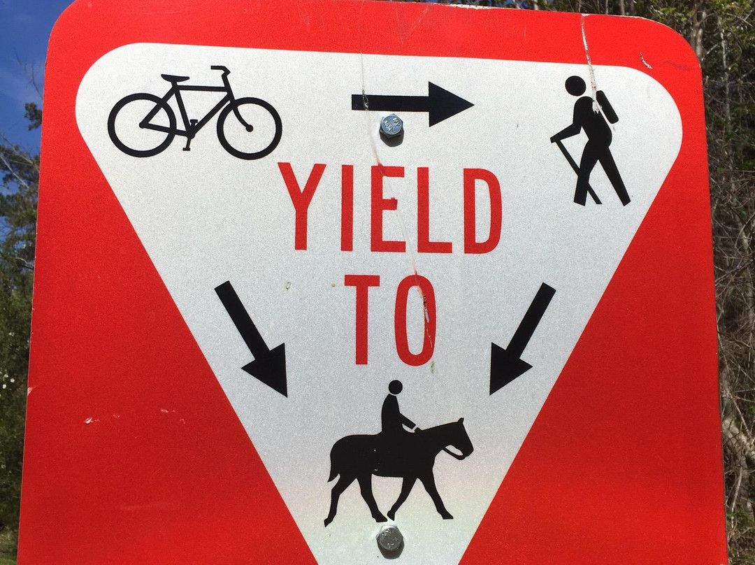 Tammany Trace-卡温顿必去景点