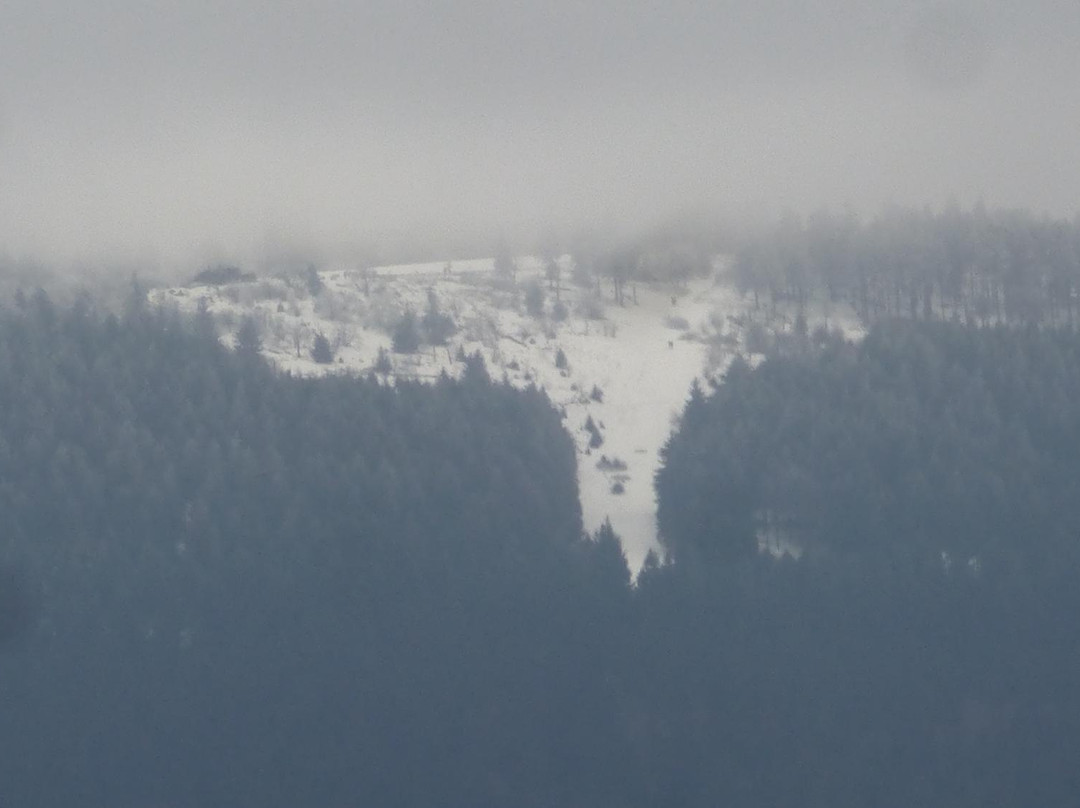 Aussichtsturm Pferdskopf景点图片