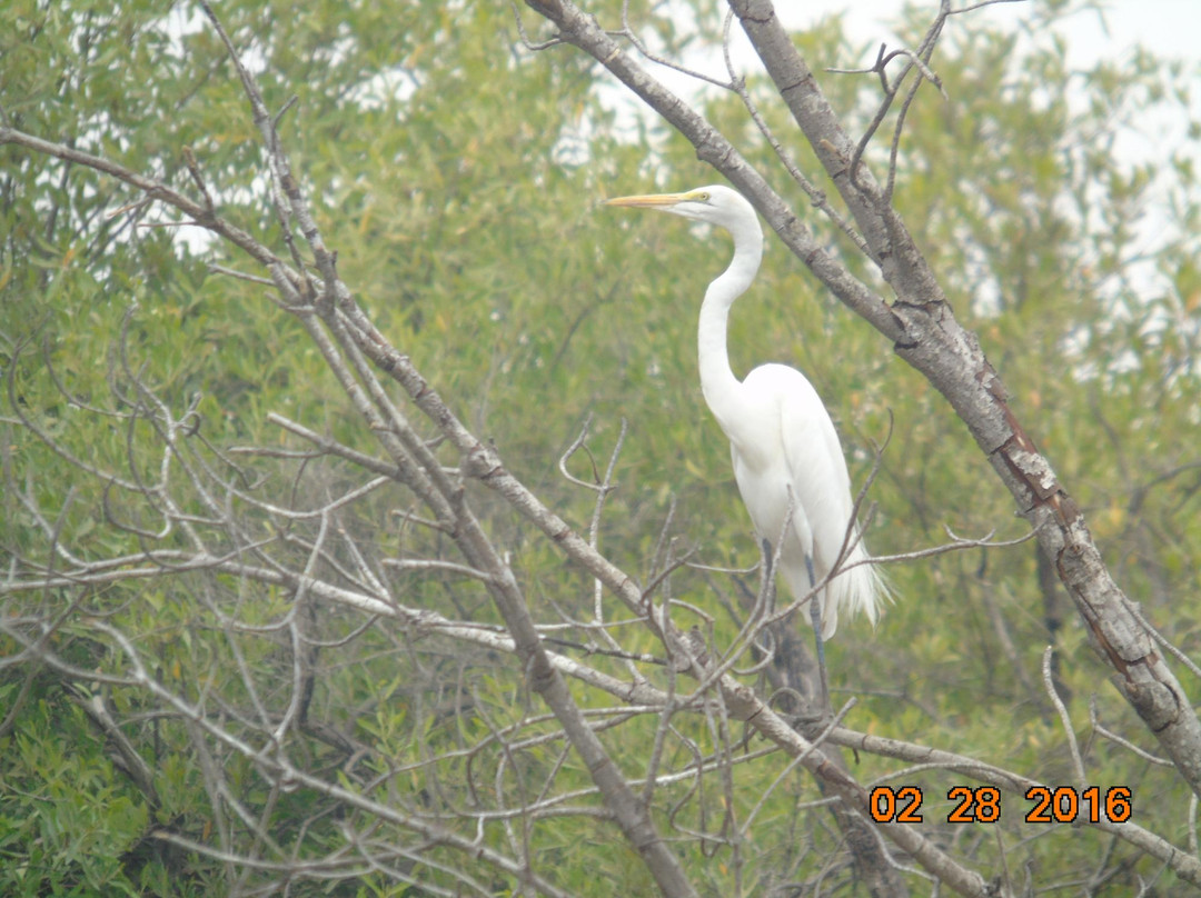 Kiang West National Park景点图片