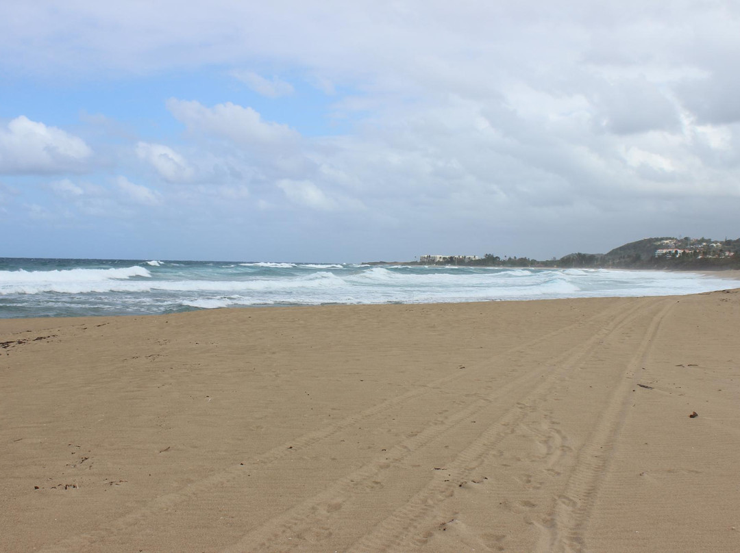 La Poza De Las Golondrinas-Isabela必去景点