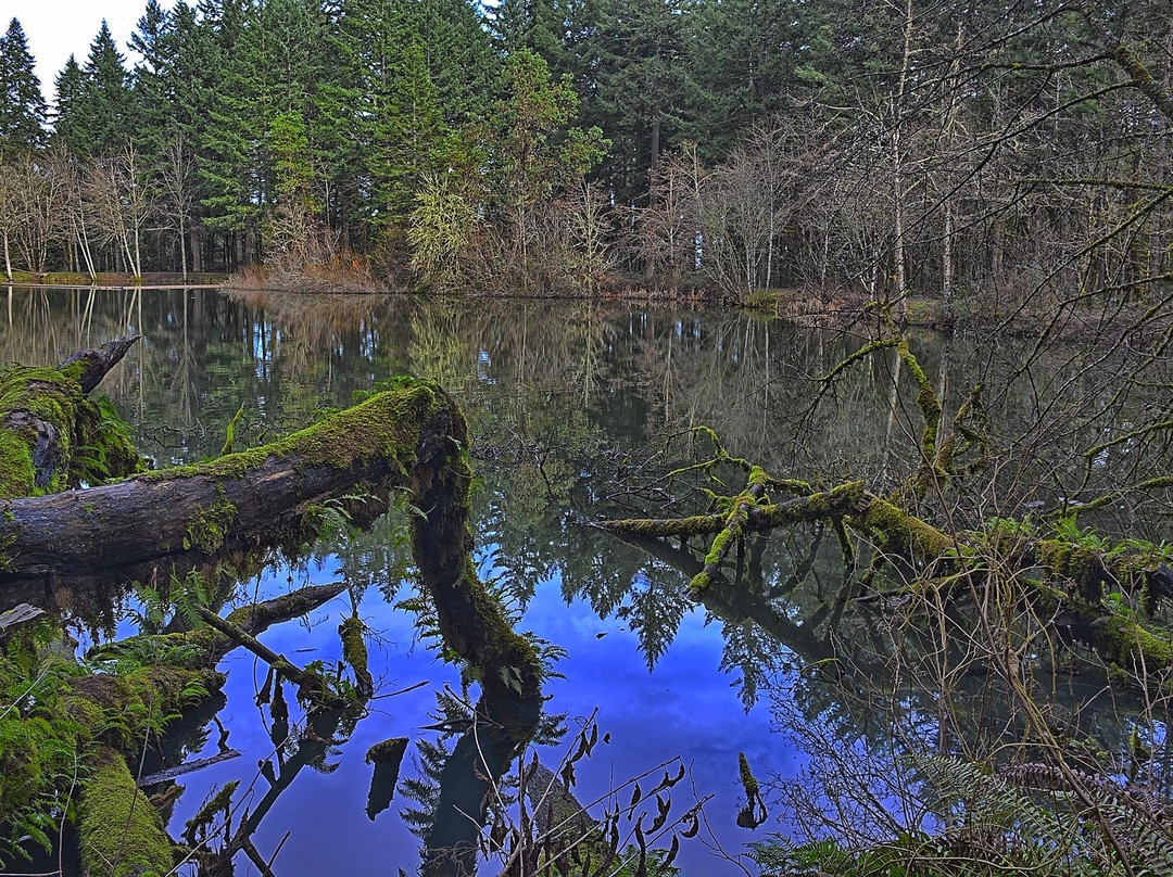 Peavy Arboretum-科瓦利斯必去景点