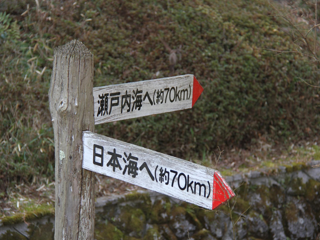 Miwakare Park-丹波市必去景点