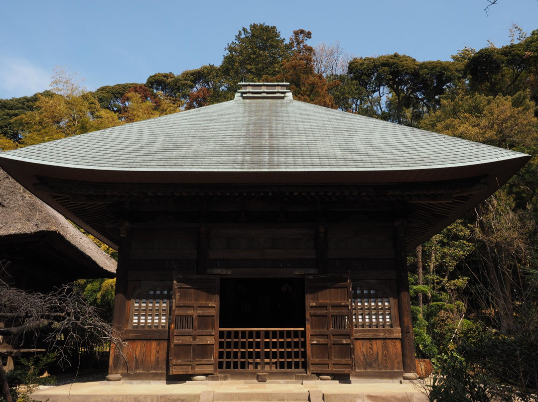 Jorakuji Temple-镰仓市必去景点