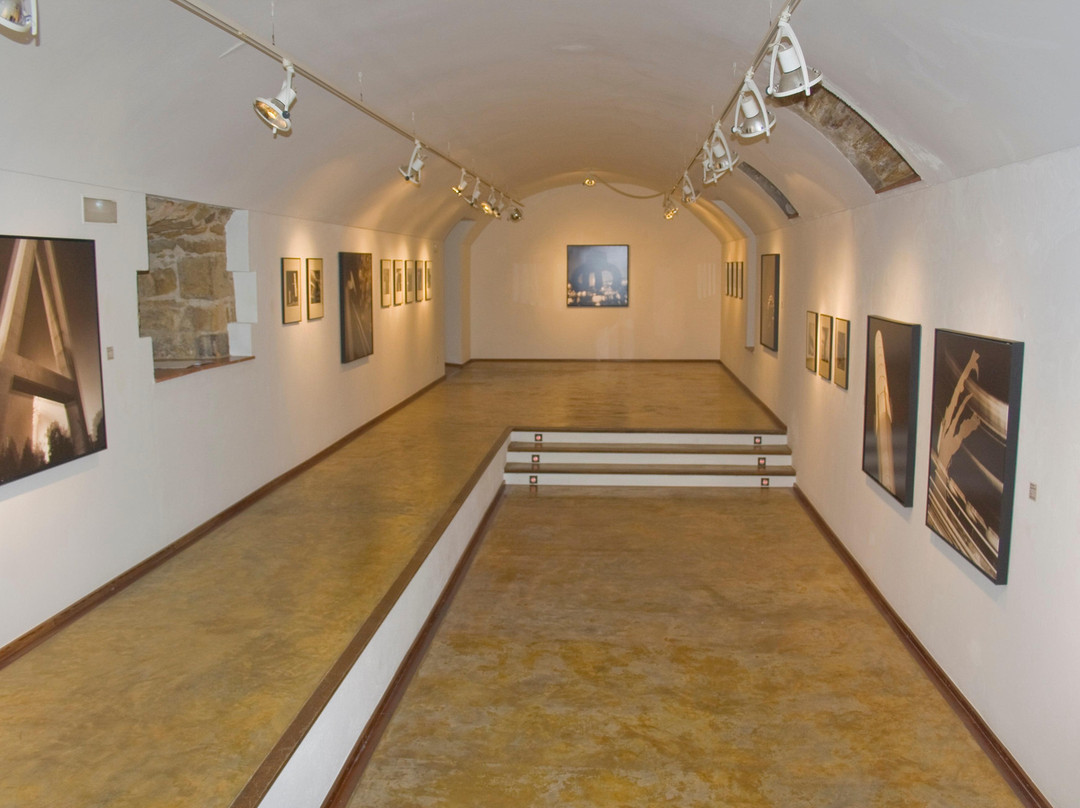 Museu Palau Solterra景点图片