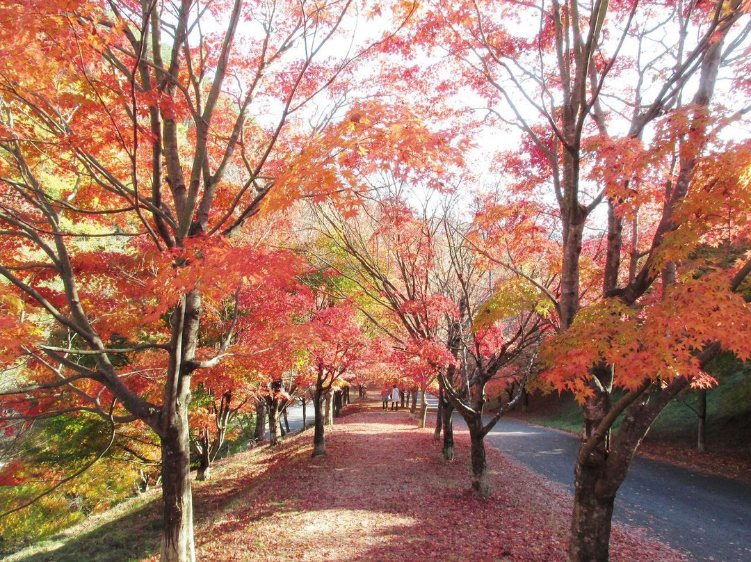 Lake Momiji (Minowa Dam)-箕轮町必去景点