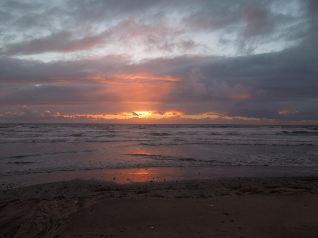 Oceanside Municipal Marina-欧申赛德必去景点