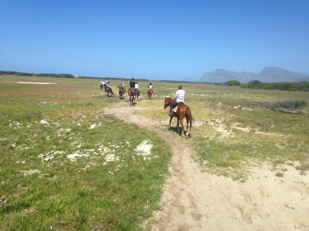 Honingklip Equestrian