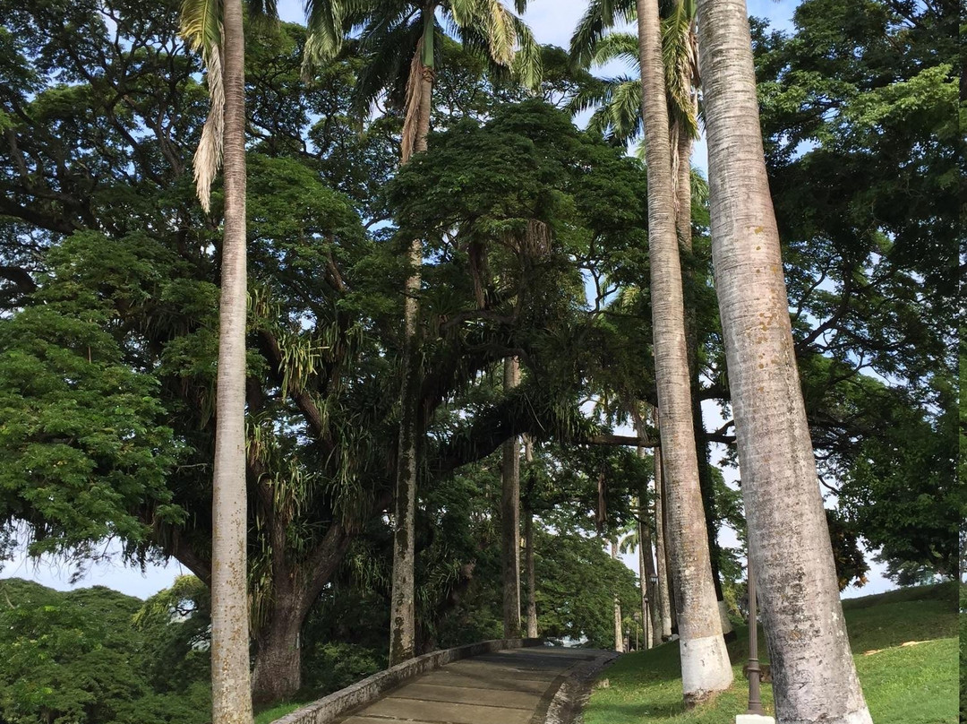 Tobago Historical Museum-斯卡伯勒必去景点